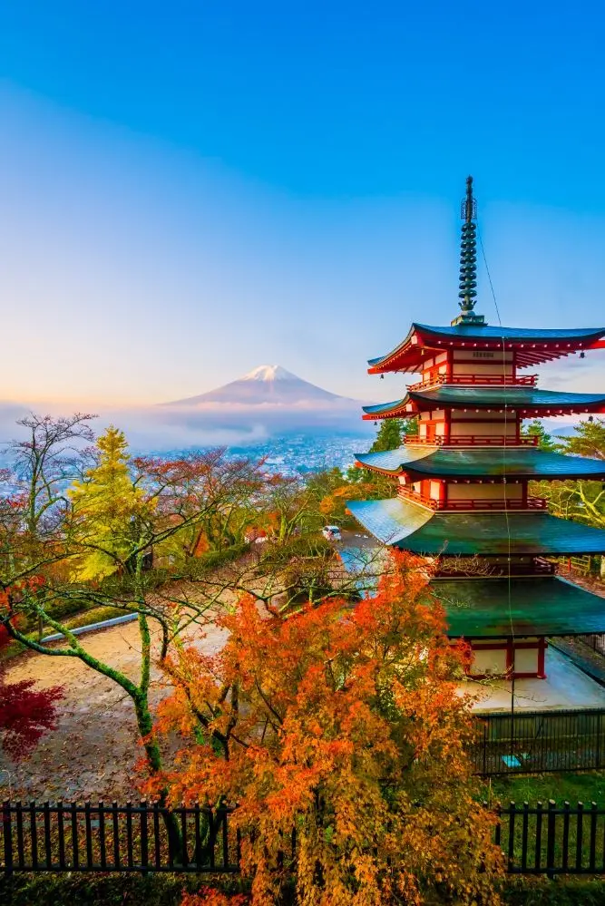 Vue du coucher de soleil sur la pagode Chureito et les cerisiers en fleurs avec le mont Fuji au loin, représentant les services de livraison de colis de Landmark Global au Japon.